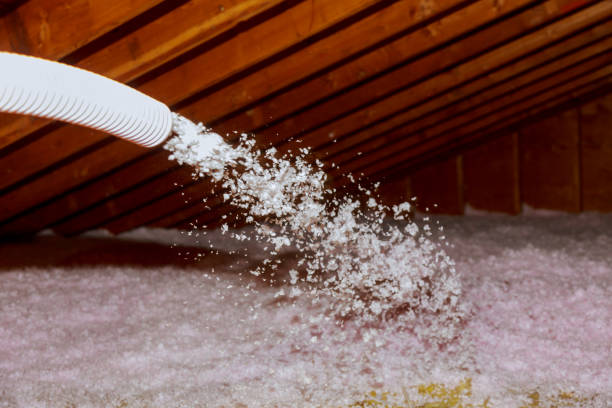 Attic Insulation Near Me in Port Oconnor, TX