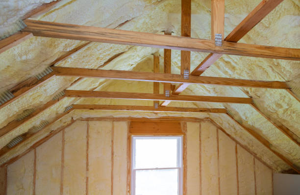 Best Insulation Inspection Services  in Port Oconnor, TX