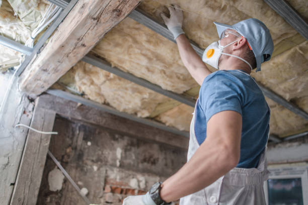 Best Residential Insulation Services  in Port Oconnor, TX