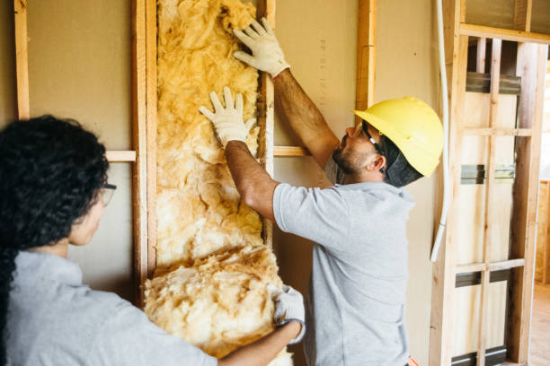 Best Insulation Inspection Services  in Port Oconnor, TX