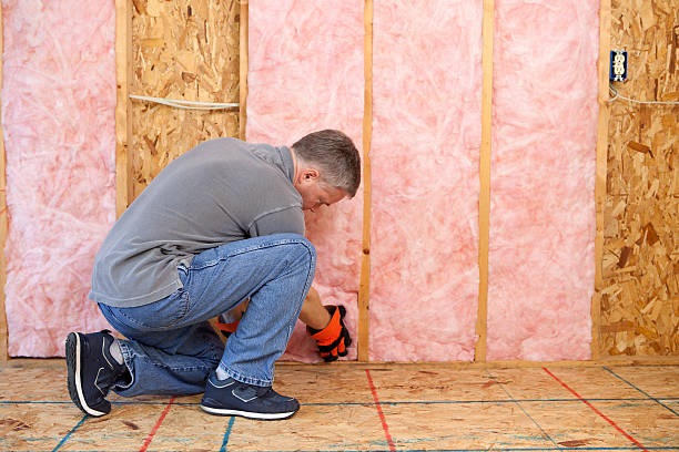 Insulation Replacement Services in Port Oconnor, TX