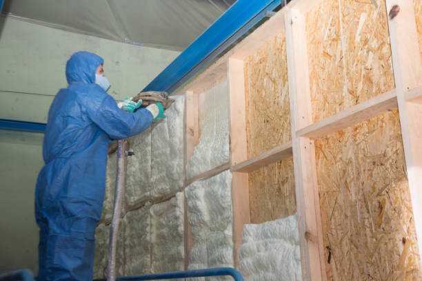Best Insulation for New Construction  in Port Oconnor, TX