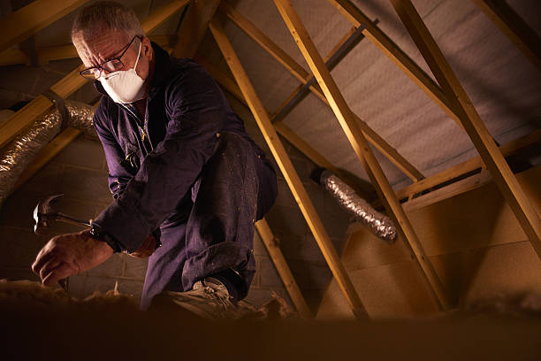 Best Insulation Replacement Services  in Port Oconnor, TX